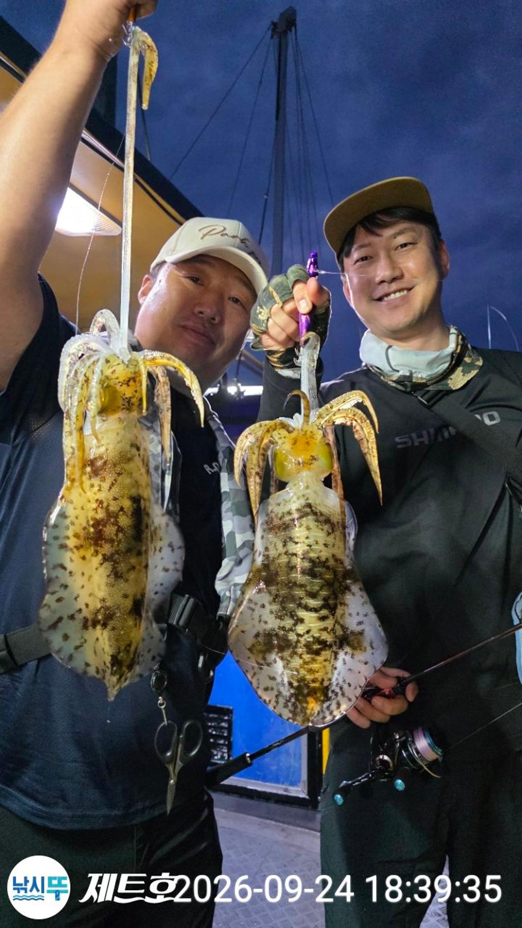 낚시뚜,무늬오징어,영일만항,포항 제트호,낚시뚜36