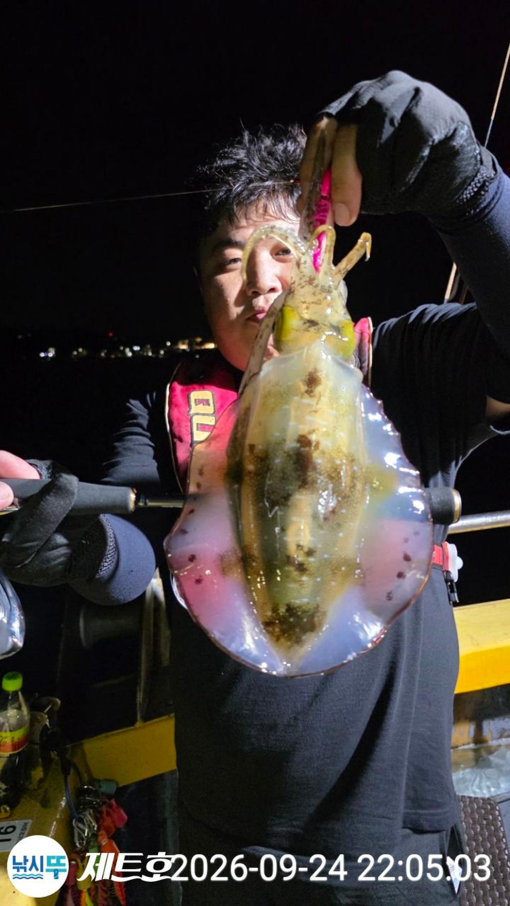 낚시뚜,무늬오징어,영일만항,포항 제트호,낚시뚜8