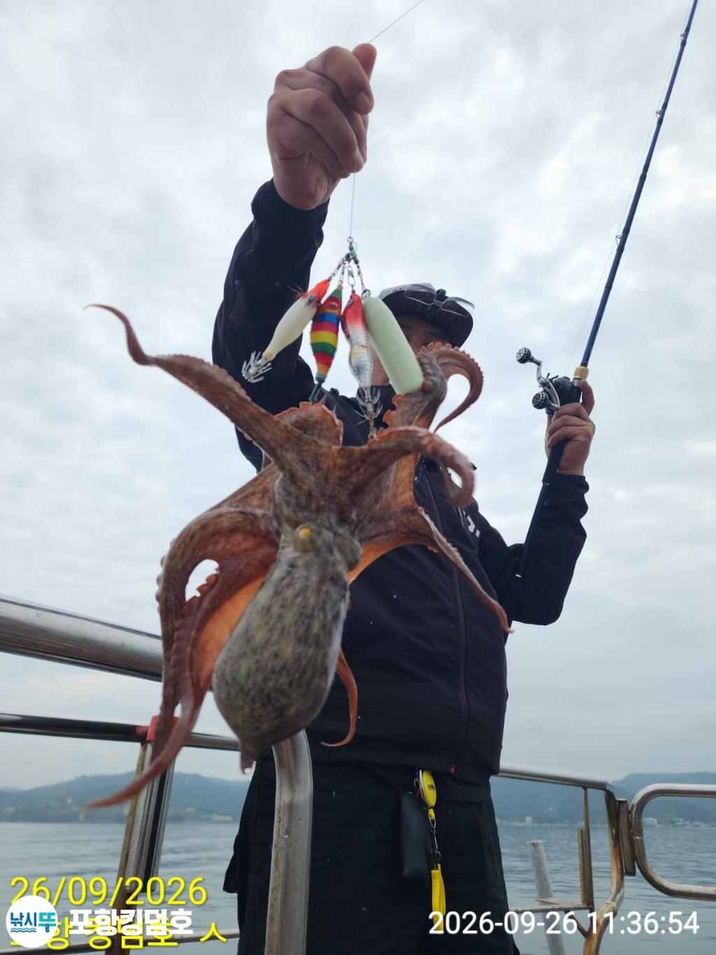낚시뚜,돌문어,영일만항,포항 킹덤호,낚시뚜2