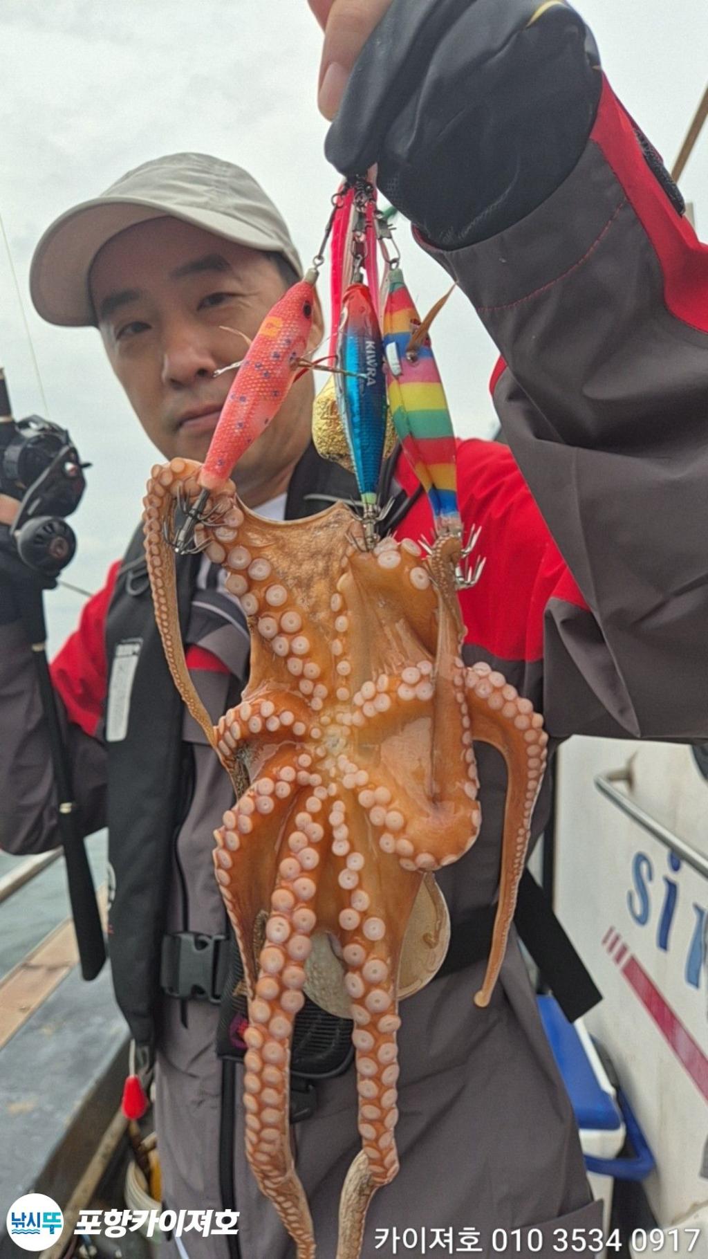 낚시뚜,돌문어,영일만항,포항카이져호,낚시뚜7