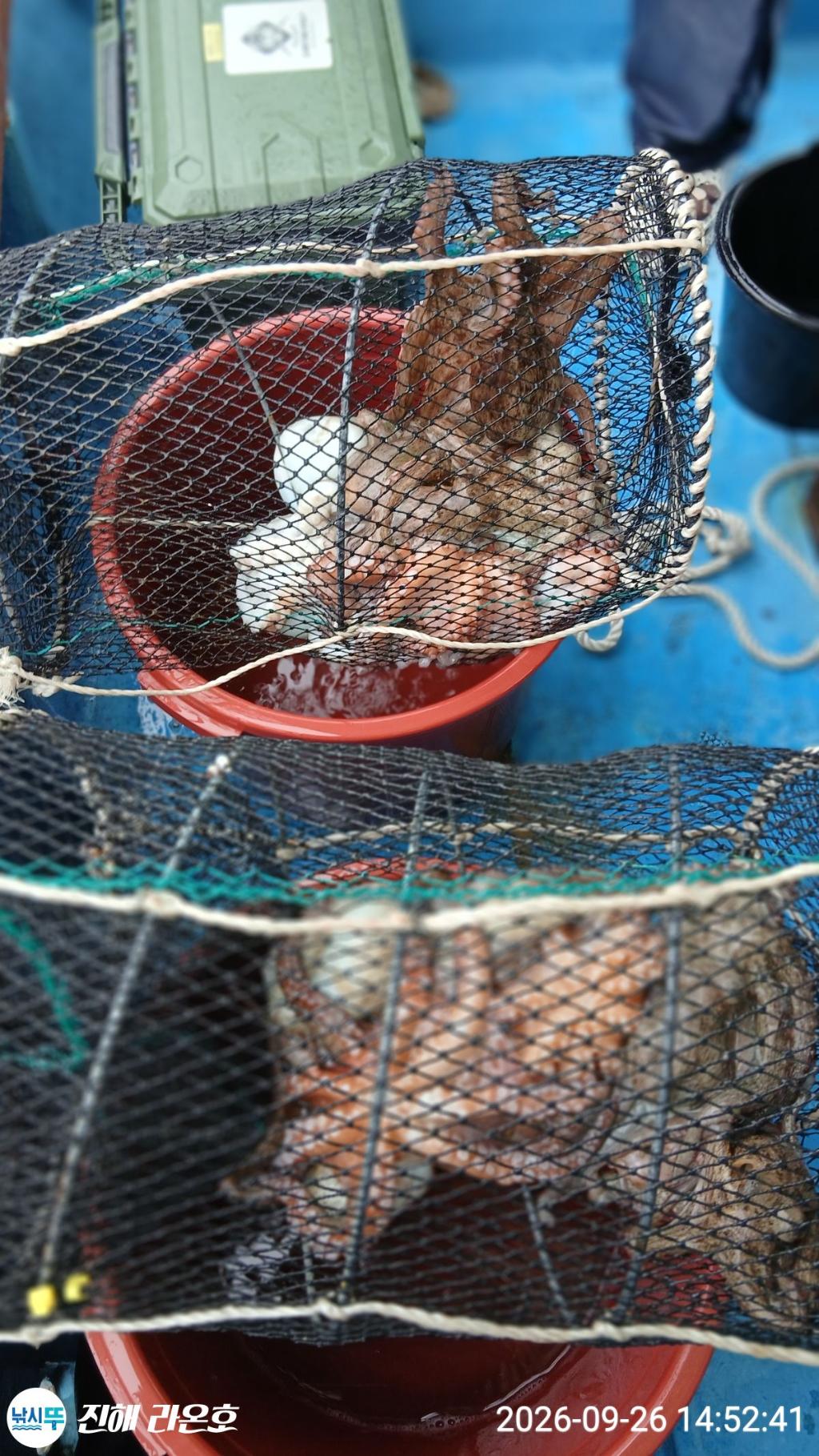 낚시뚜,돌문어,삼포항,진해 라온호,낚시뚜1