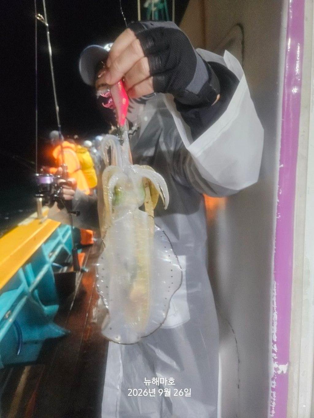 낚시뚜,무늬오징어,영일만항,뉴해마호,낚시뚜11