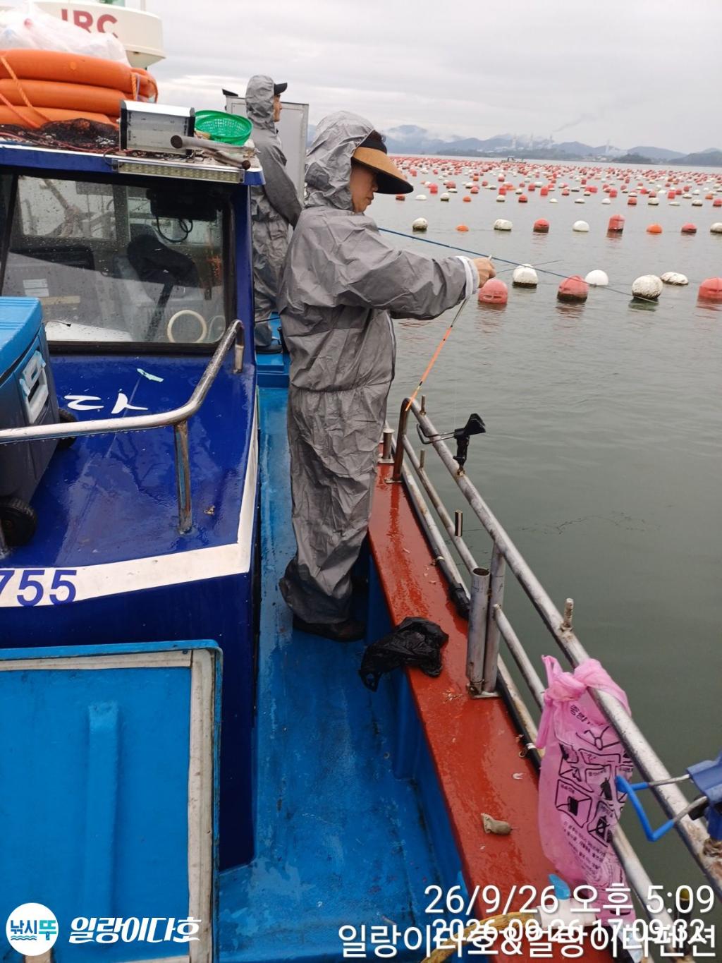 낚시뚜,감성돔,냉천항,일랑이다호,낚시뚜1