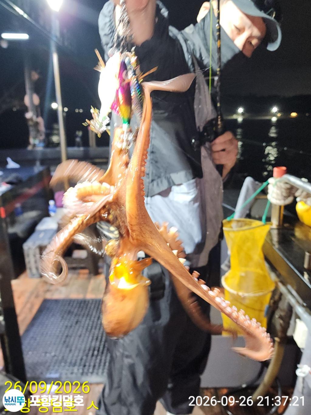 낚시뚜,돌문어,영일만항,포항 킹덤호,낚시뚜33