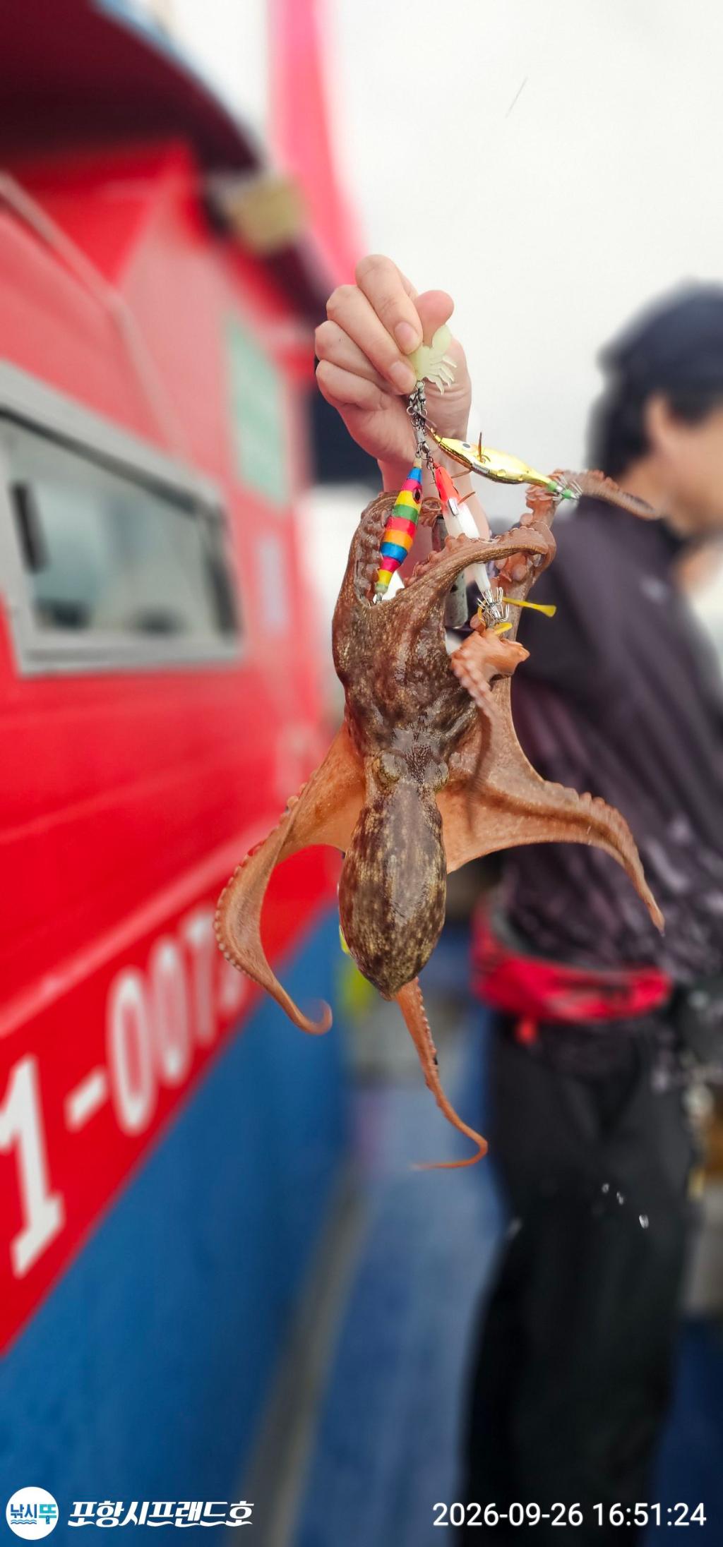 낚시뚜,돌문어,영일만항,포항시프랜드호,낚시뚜5