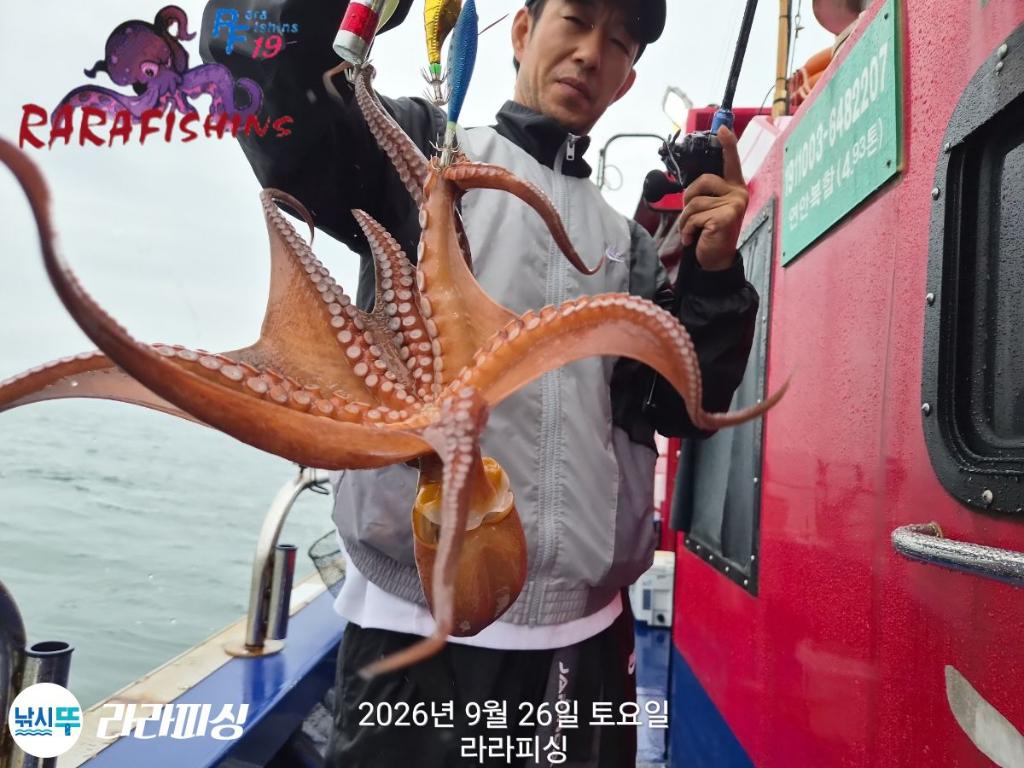 낚시뚜,돌문어,속천항(진해),라라피싱,낚시뚜17