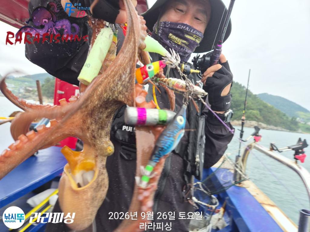 낚시뚜,돌문어,속천항(진해),라라피싱,낚시뚜16