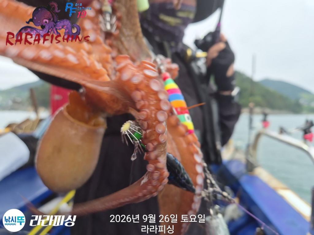 낚시뚜,돌문어,속천항(진해),라라피싱,낚시뚜15