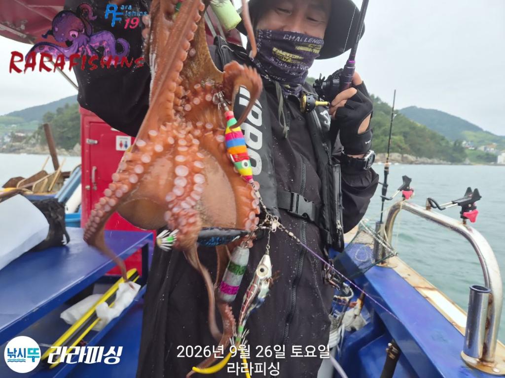 낚시뚜,돌문어,속천항(진해),라라피싱,낚시뚜13