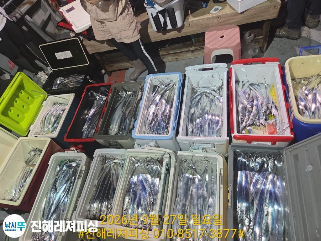 낚시뚜,갈치,진해1부두항,진해레져피싱,낚시뚜36