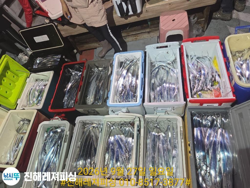 낚시뚜,갈치,진해1부두항,진해레져피싱,낚시뚜33