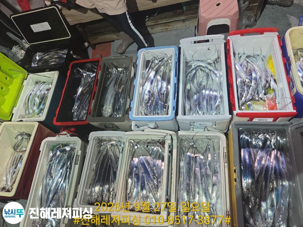 낚시뚜,갈치,진해1부두항,진해레져피싱,낚시뚜31