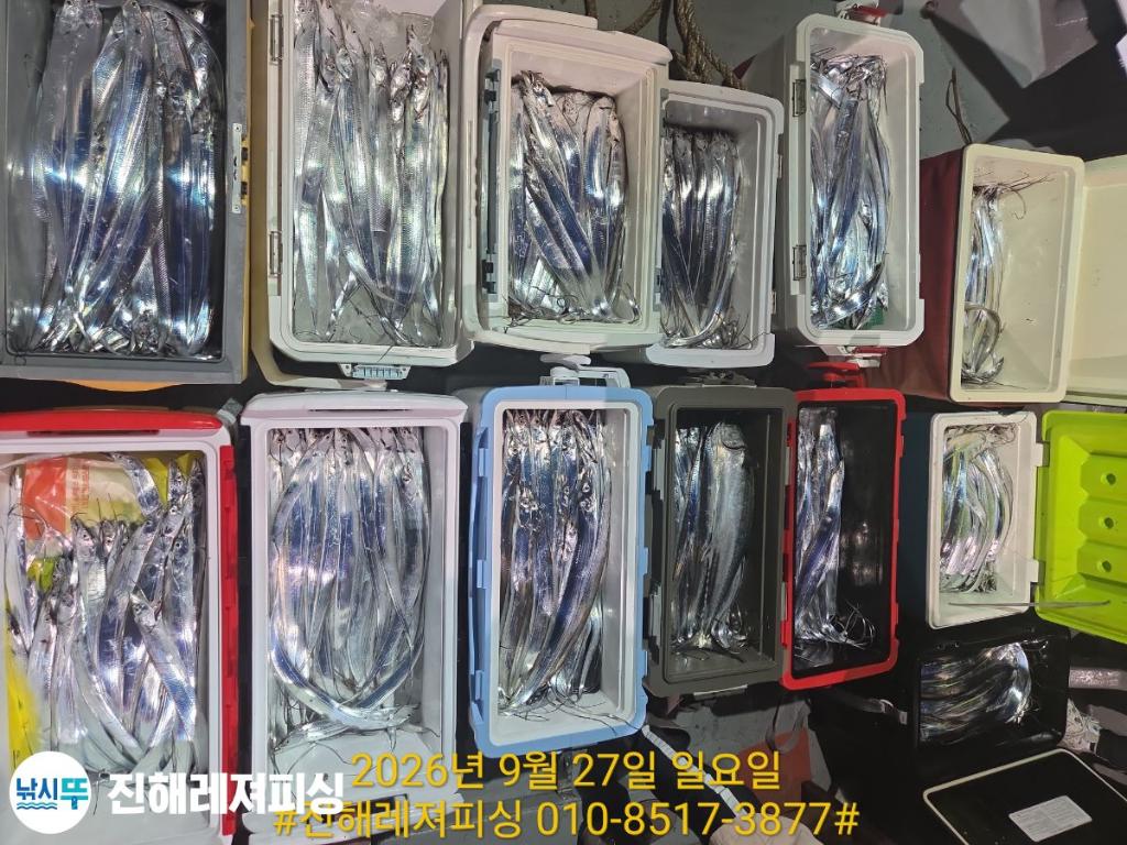 낚시뚜,갈치,진해1부두항,진해레져피싱,낚시뚜30