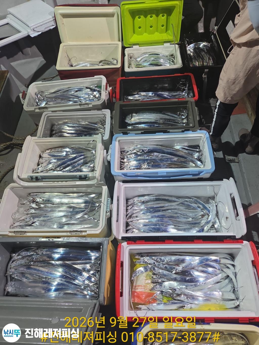 낚시뚜,갈치,진해1부두항,진해레져피싱,낚시뚜29