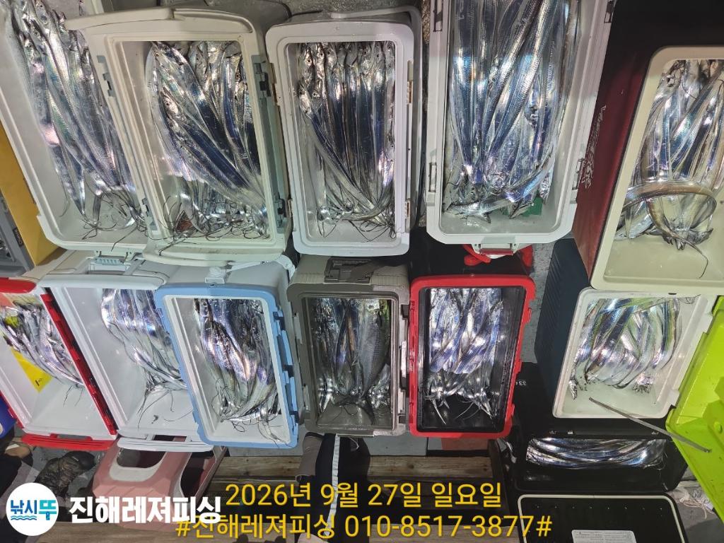 낚시뚜,갈치,진해1부두항,진해레져피싱,낚시뚜28