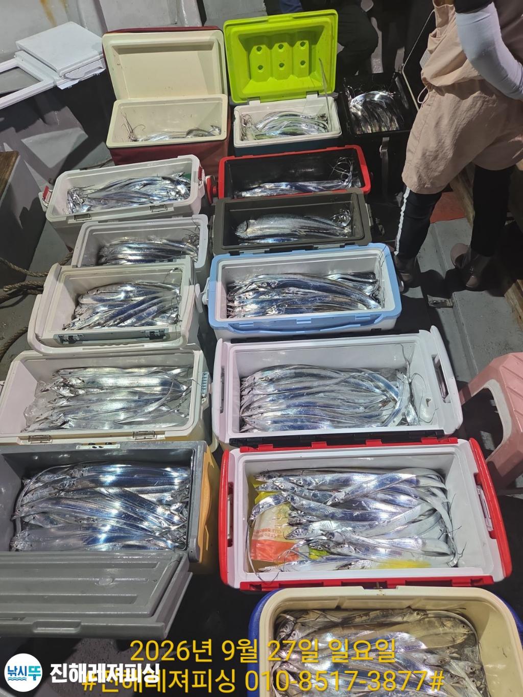 낚시뚜,갈치,진해1부두항,진해레져피싱,낚시뚜27