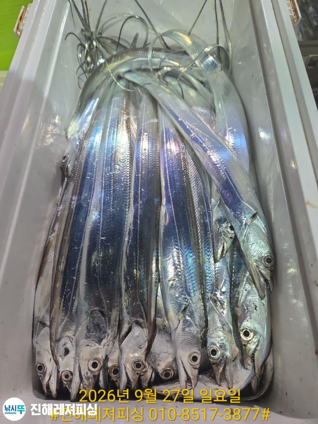 낚시뚜,갈치,진해1부두항,진해레져피싱,낚시뚜25