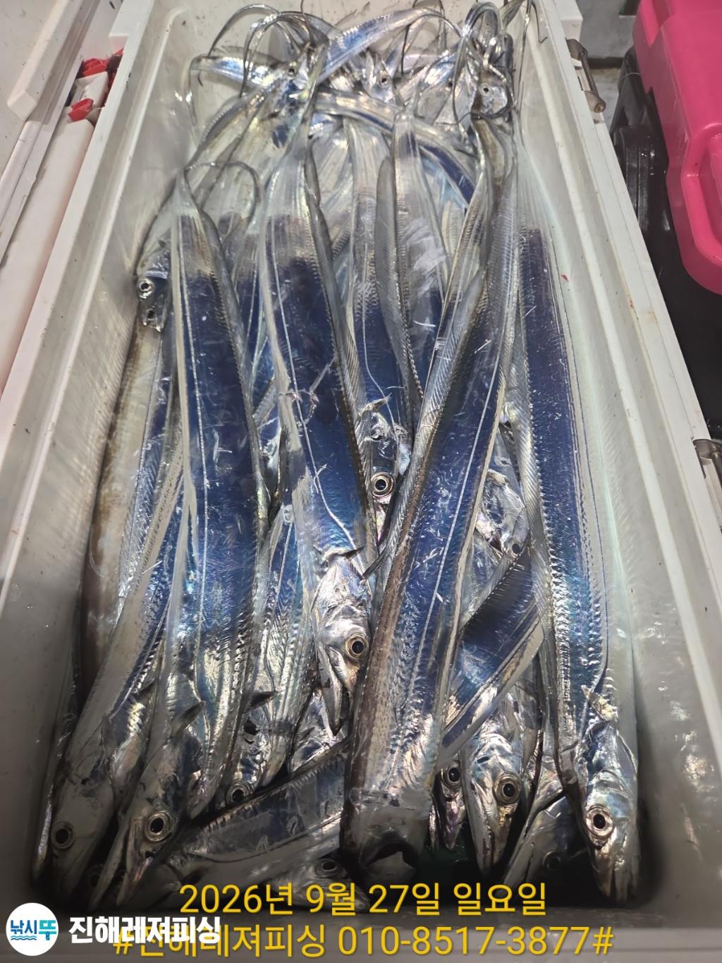 낚시뚜,갈치,진해1부두항,진해레져피싱,낚시뚜22