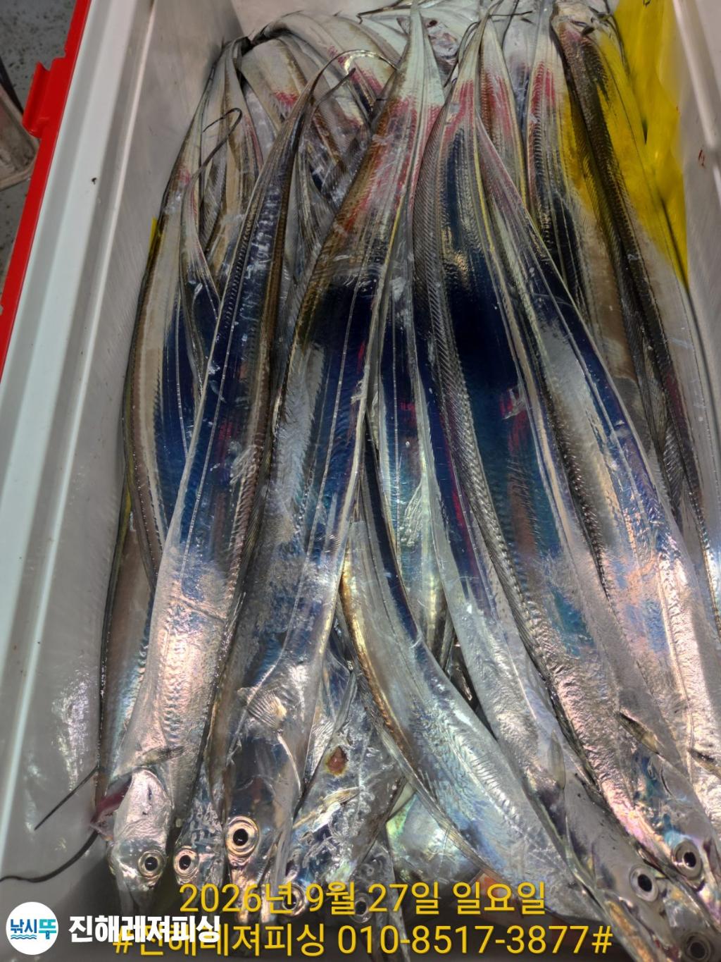 낚시뚜,갈치,진해1부두항,진해레져피싱,낚시뚜19