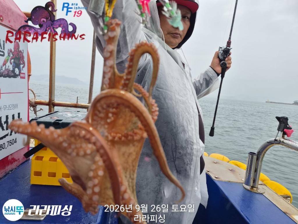 낚시뚜,돌문어,속천항(진해),라라피싱,낚시뚜15