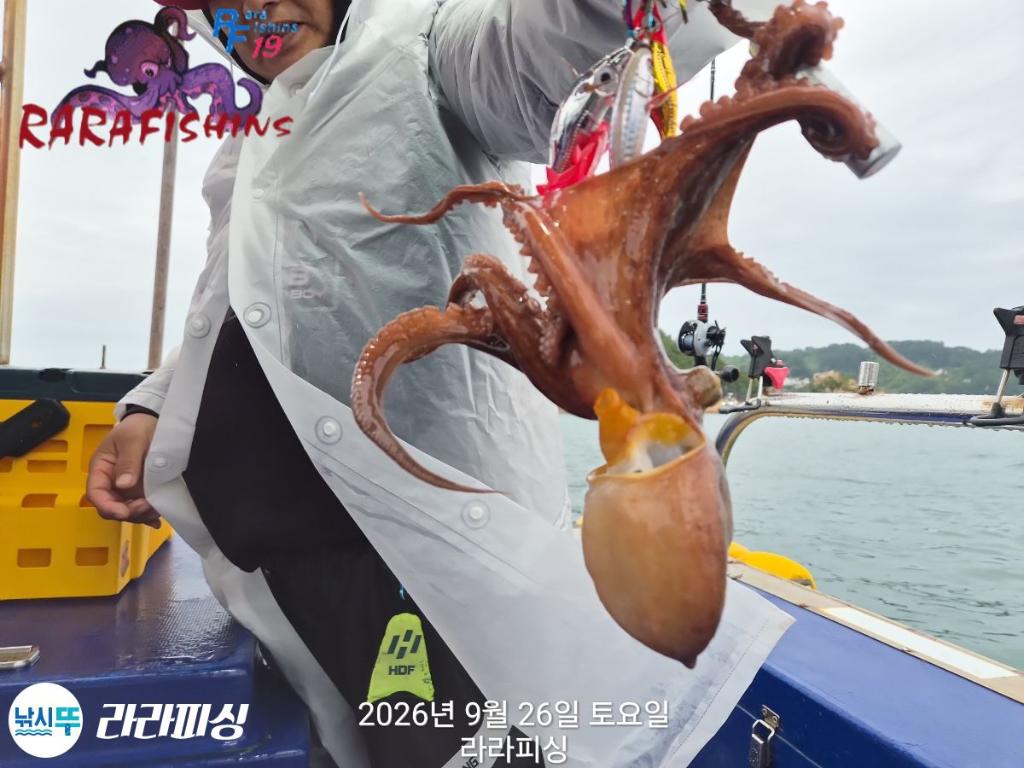 낚시뚜,돌문어,속천항(진해),라라피싱,낚시뚜11