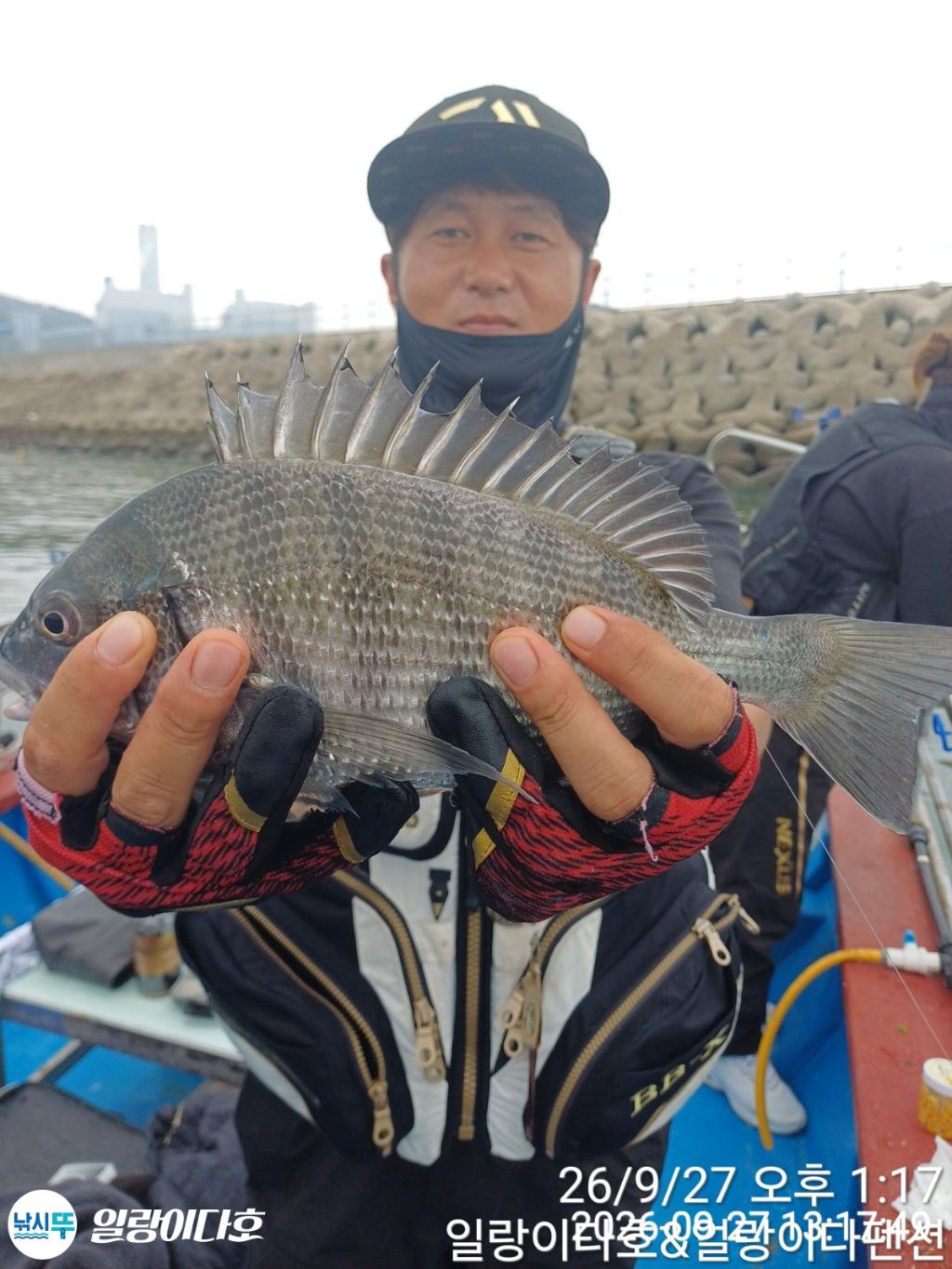 낚시뚜,감성돔,냉천항,일랑이다호,낚시뚜2