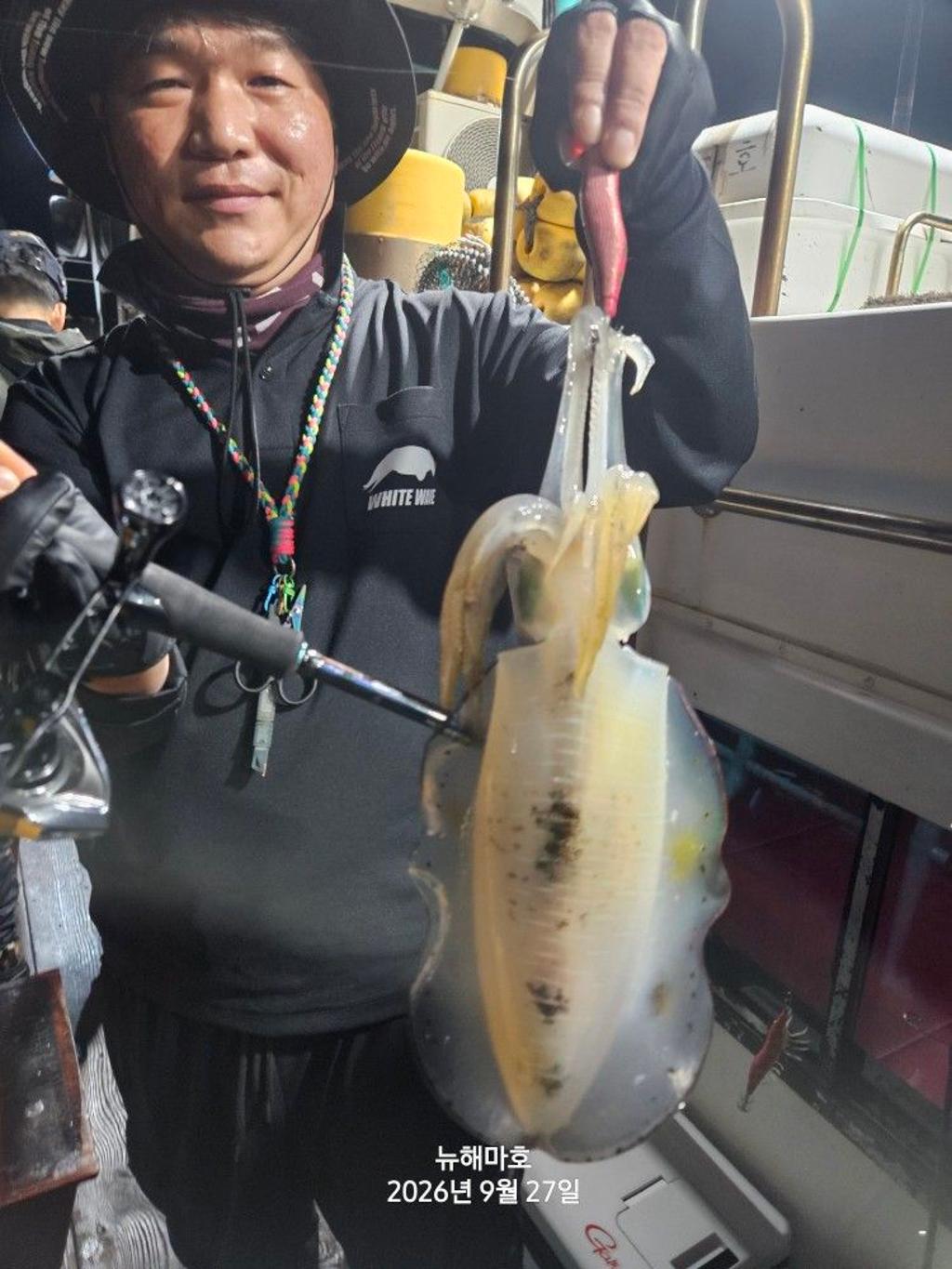 낚시뚜,무늬오징어,영일만항,뉴해마호,낚시뚜5