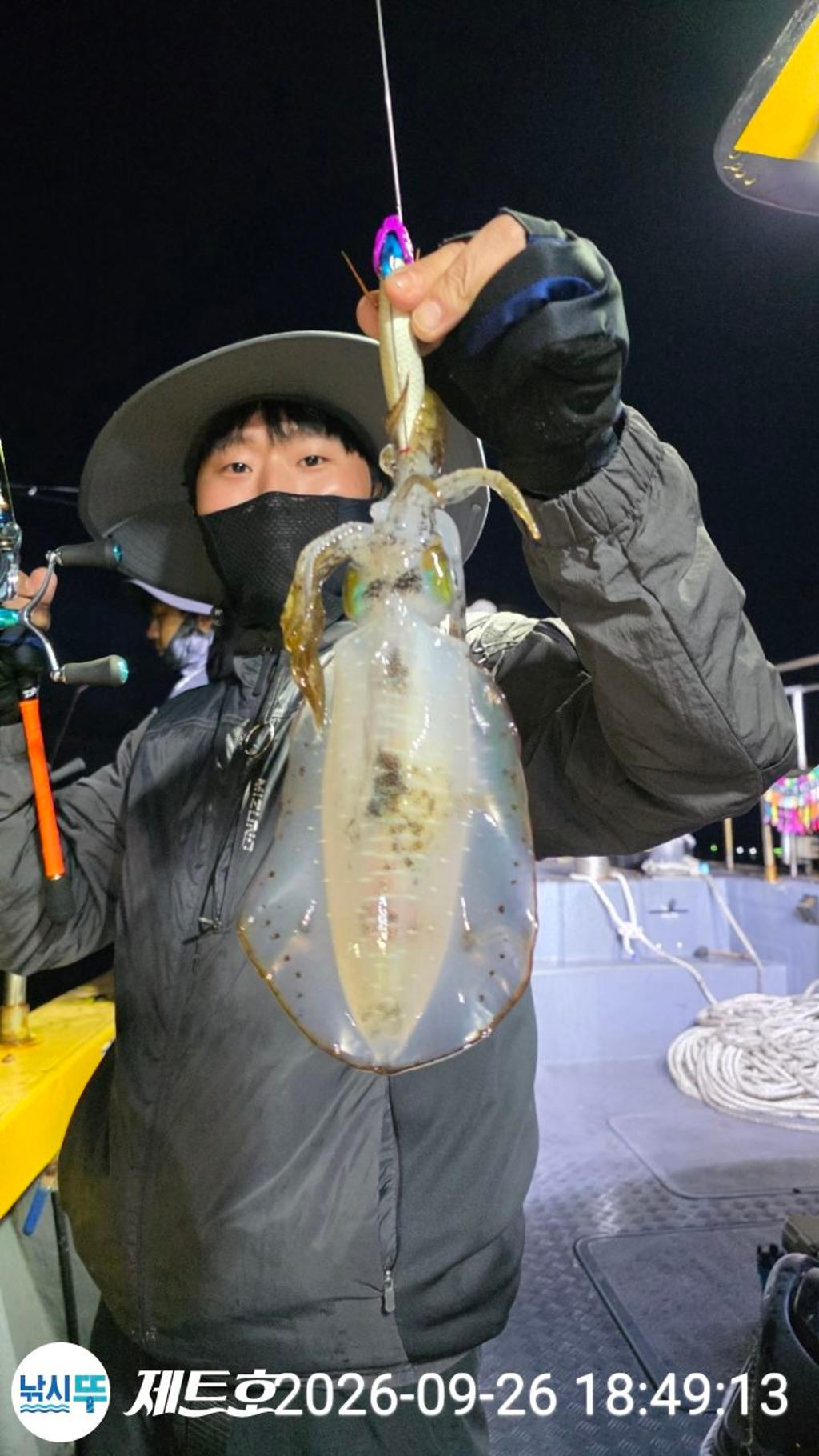 낚시뚜,무늬오징어,영일만항,포항 제트호,낚시뚜17