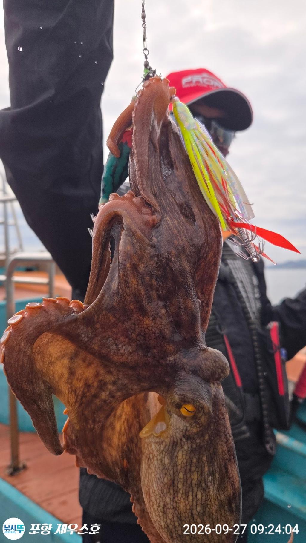 낚시뚜,돌문어,영일만항,포항 제우스호,낚시뚜6