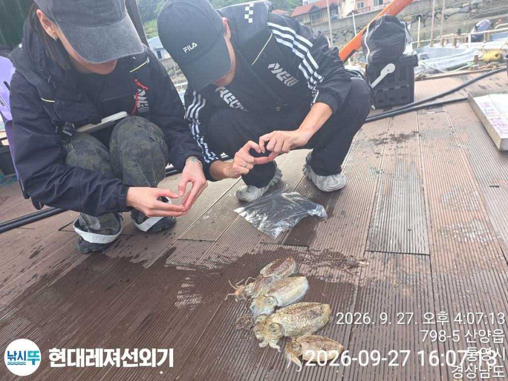 낚시뚜,감성돔,갑오징어,기타 어종,풍화상장마을,통영 현대레져선외기,낚시뚜2