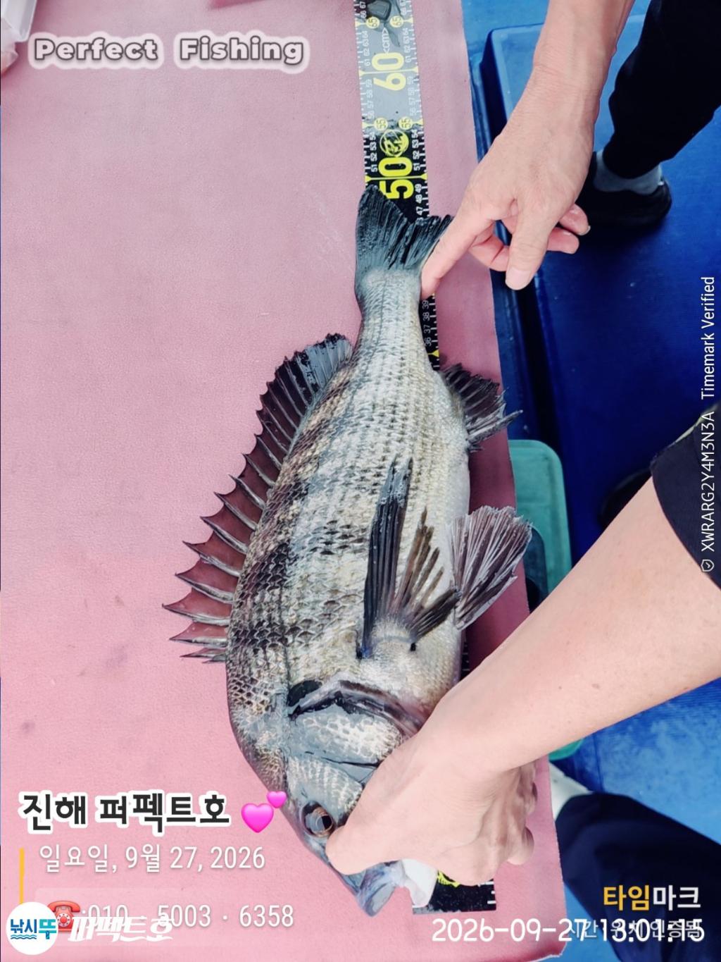 낚시뚜,감성돔,진해 수치마을 방파제,퍼펙트호,낚시뚜8
