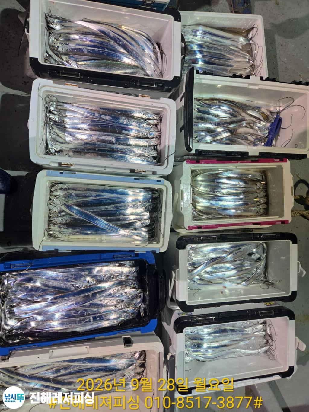 낚시뚜,갈치,진해1부두항,진해레져피싱,낚시뚜13