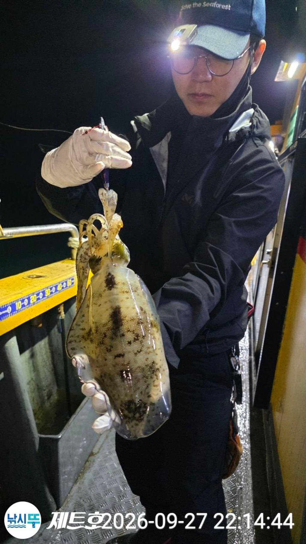 낚시뚜,무늬오징어,영일만항,포항 제트호,낚시뚜4