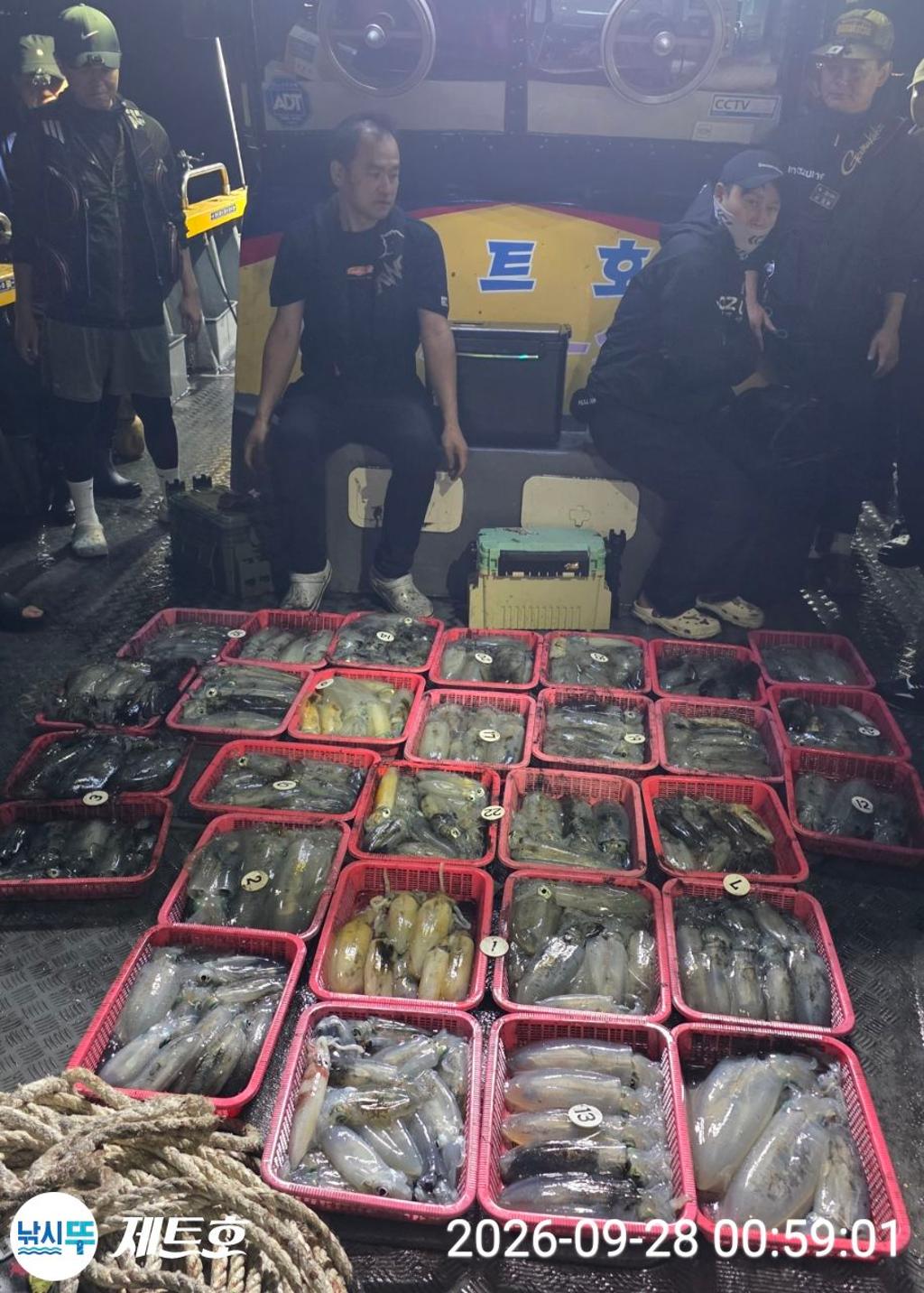 낚시뚜,무늬오징어,영일만항,포항 제트호,낚시뚜2