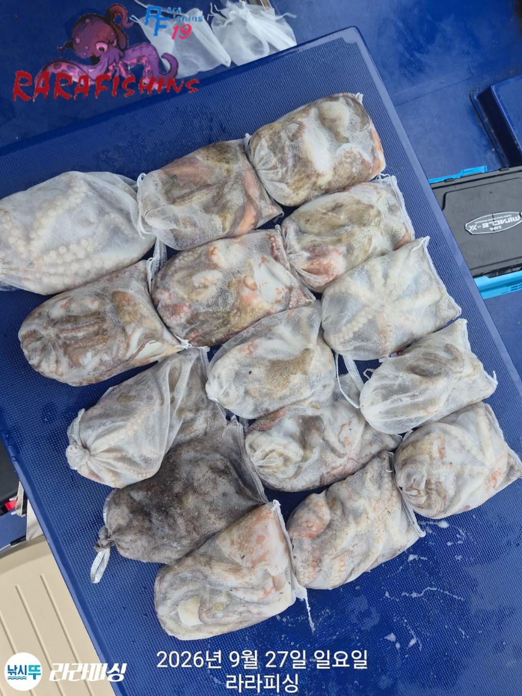 낚시뚜,돌문어,속천항(진해),라라피싱,낚시뚜19