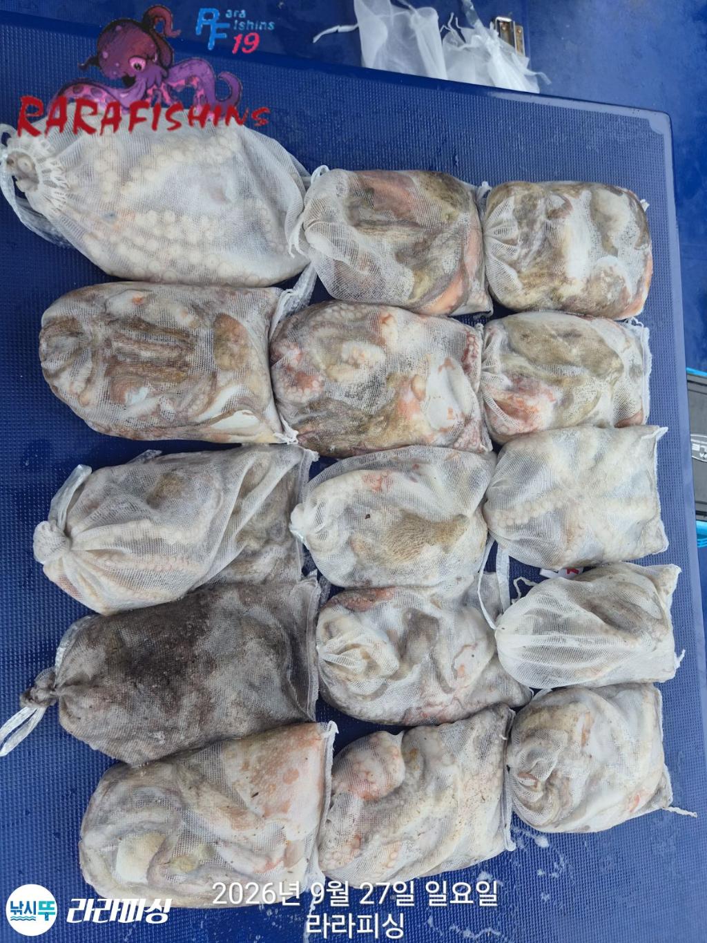 낚시뚜,돌문어,속천항(진해),라라피싱,낚시뚜18