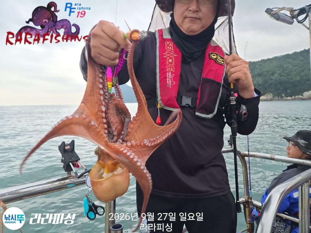 낚시뚜,돌문어,속천항(진해),라라피싱,낚시뚜16