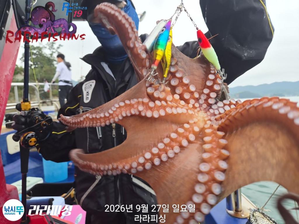 낚시뚜,돌문어,속천항(진해),라라피싱,낚시뚜13