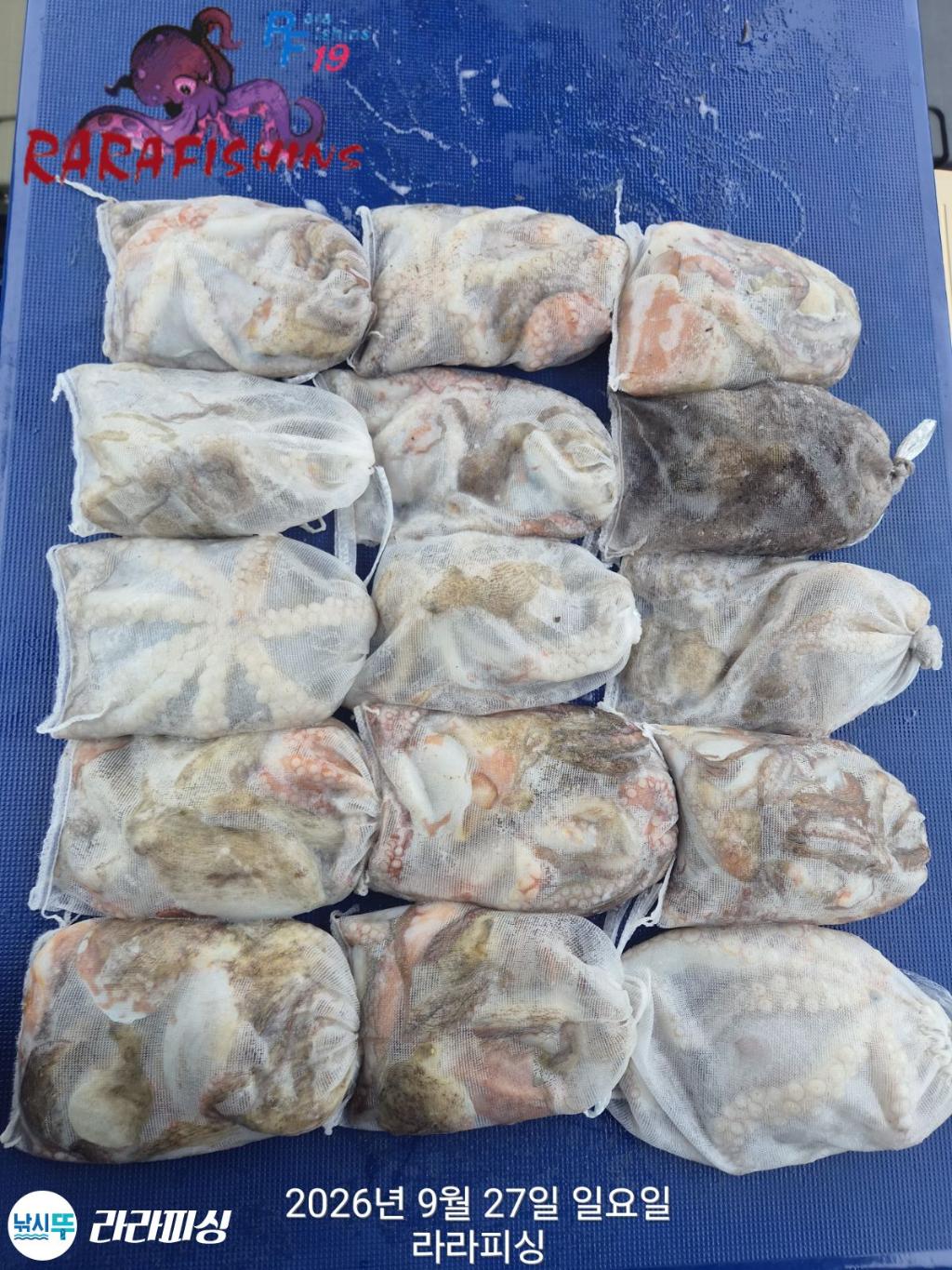 낚시뚜,돌문어,속천항(진해),라라피싱,낚시뚜1
