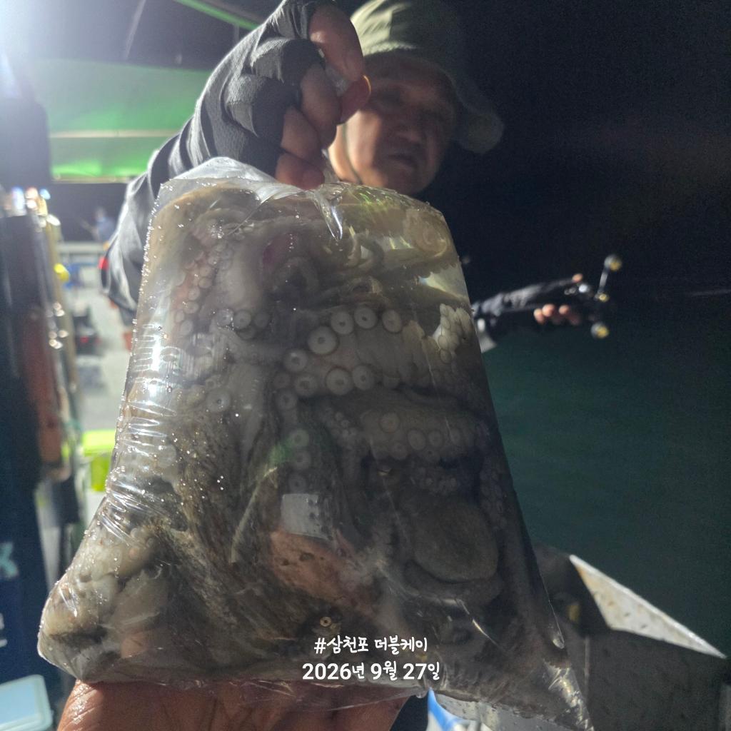낚시뚜,돌문어,삼천포 팔포항,삼천포 더블케이호,낚시뚜20