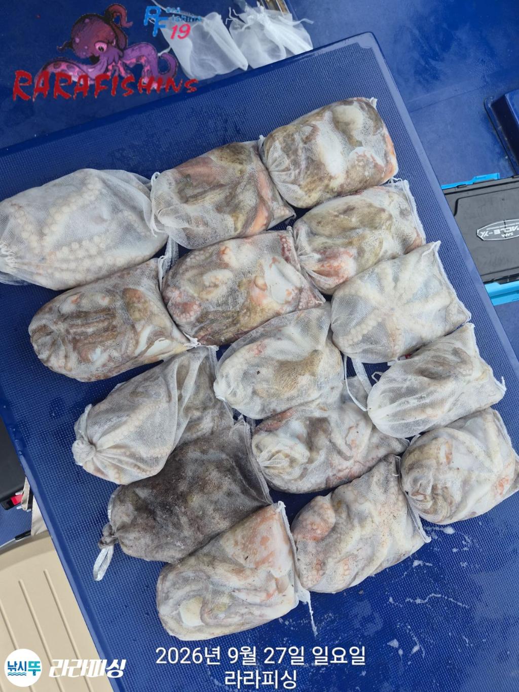 낚시뚜,돌문어,속천항(진해),라라피싱,낚시뚜19