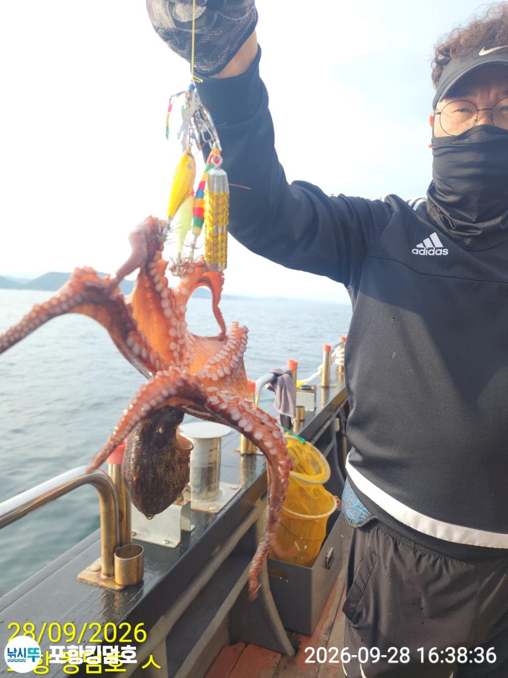 낚시뚜,돌문어,영일만항,포항 킹덤호,낚시뚜12