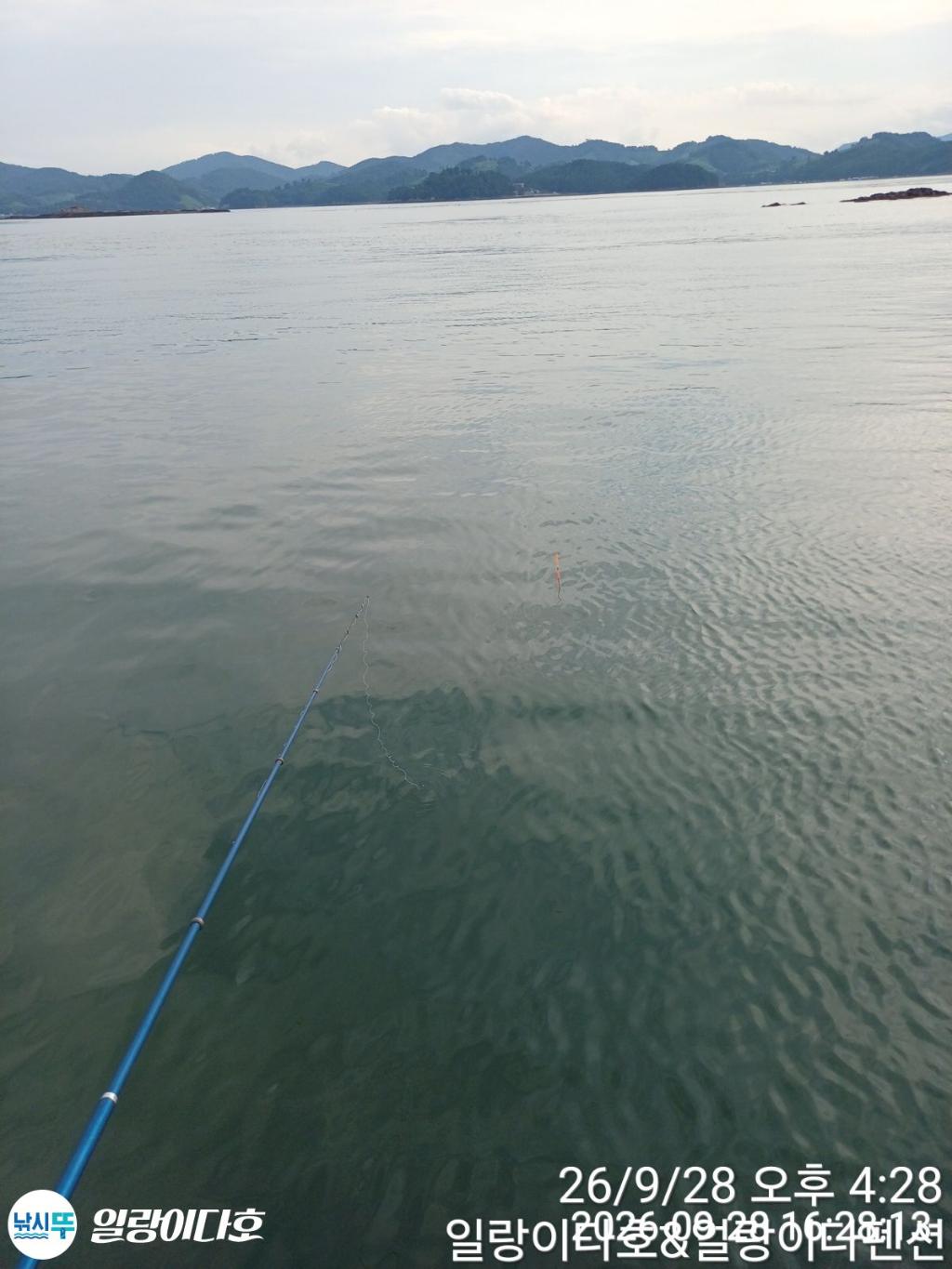낚시뚜,감성돔,냉천항,일랑이다호,낚시뚜1