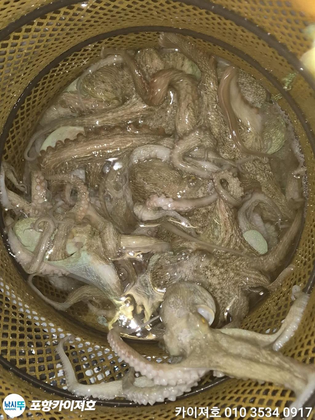 낚시뚜,기타 (직접입력),영일만항,포항카이져호,낚시뚜59