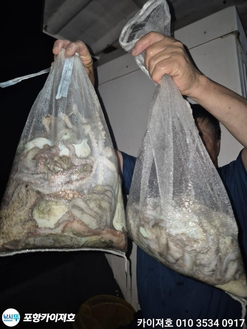낚시뚜,기타 (직접입력),영일만항,포항카이져호,낚시뚜7