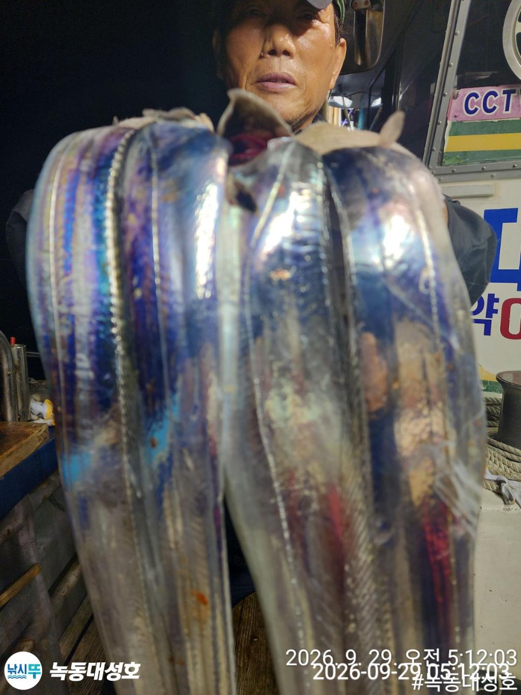 낚시뚜,갈치,녹동항,녹동대성호,낚시뚜9