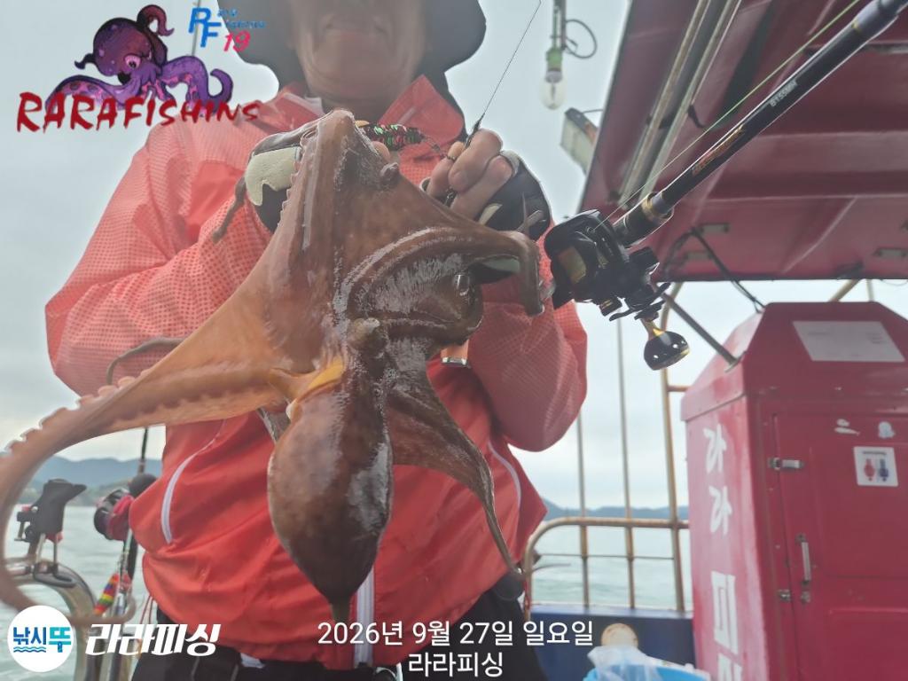 낚시뚜,돌문어,속천항(진해),라라피싱,낚시뚜9