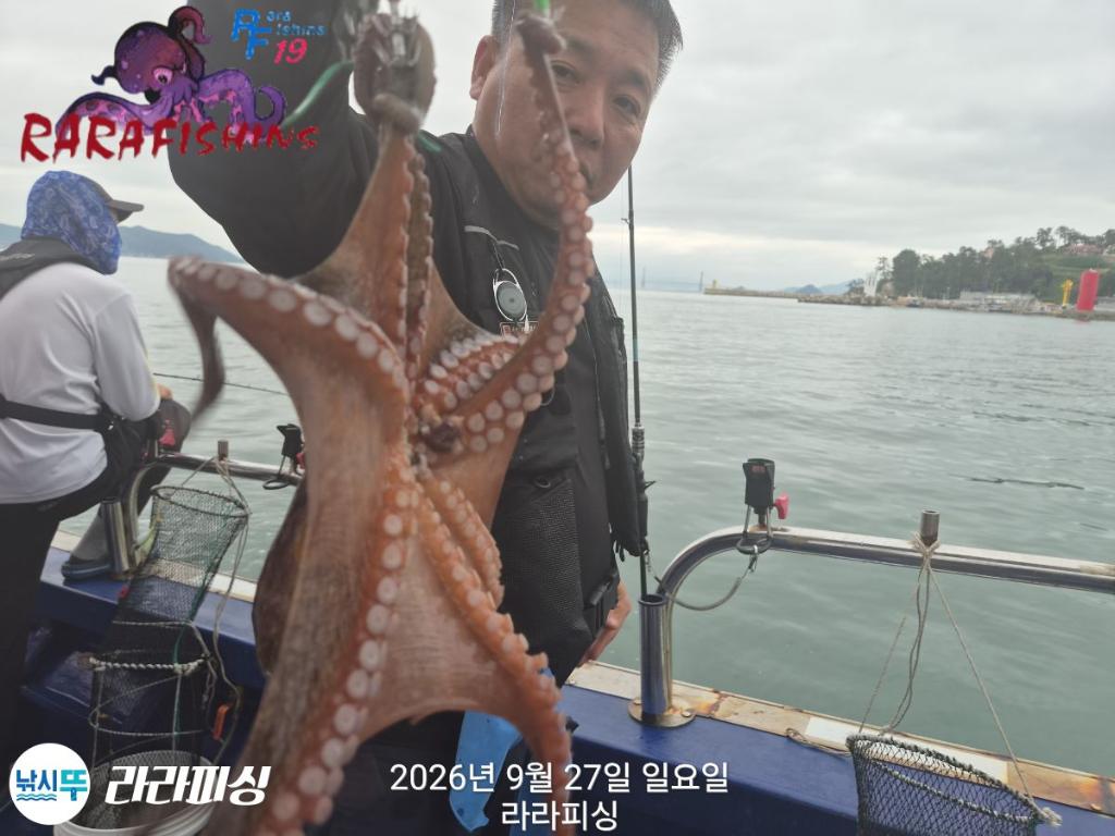 낚시뚜,돌문어,속천항(진해),라라피싱,낚시뚜8
