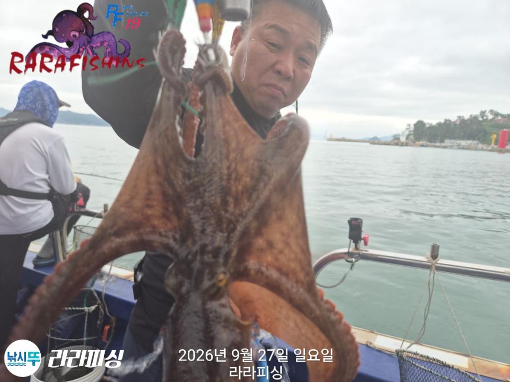 낚시뚜,돌문어,속천항(진해),라라피싱,낚시뚜7