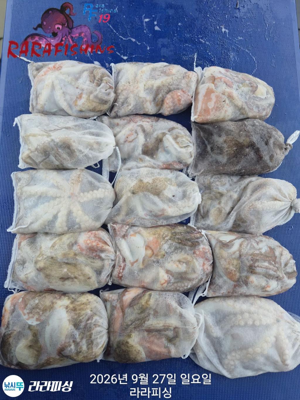 낚시뚜,돌문어,속천항(진해),라라피싱,낚시뚜0